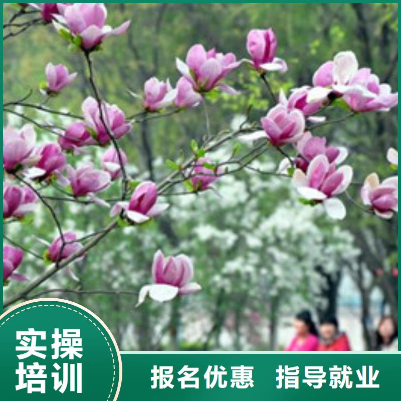 单招培训保证学会