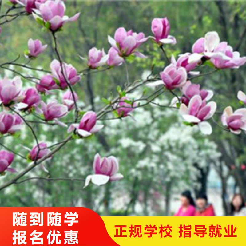 單招培訓(xùn)報(bào)名優(yōu)惠
