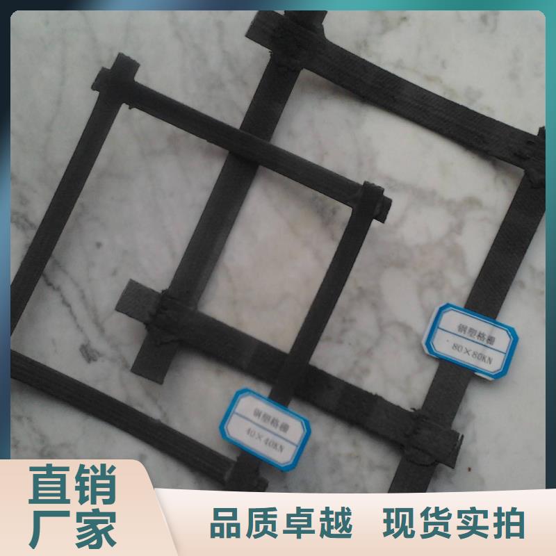 焊接土工格柵-鋼塑土工格柵滌綸土工格柵鋼塑土工格柵_(tái)土工格柵系列