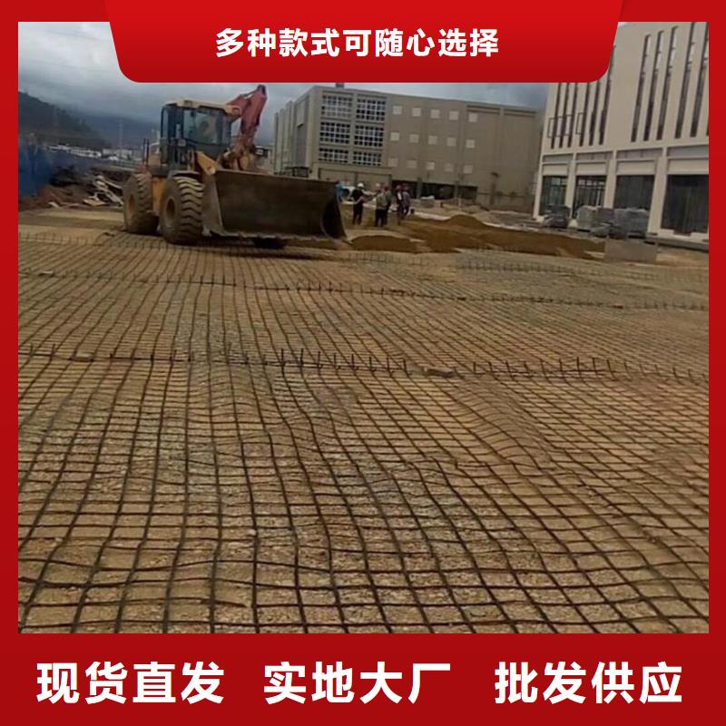 雙向鋼塑土工格柵價(jià)格批發(fā)有限公司