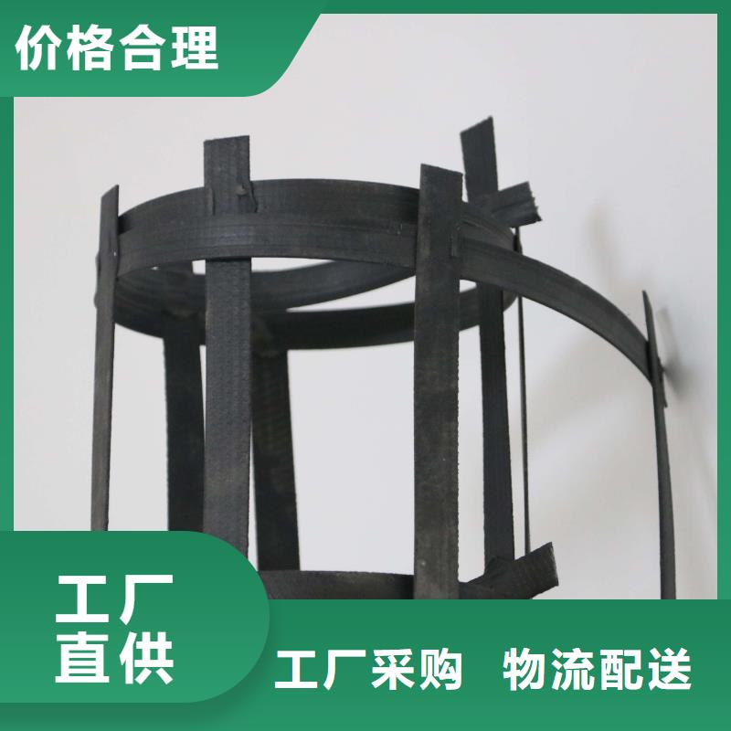 鋼塑土工格柵防滲土工膜實體廠家
