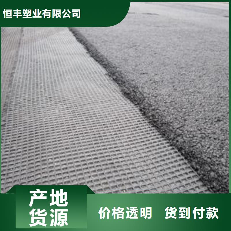 玻纤土工格栅三维植被网实体厂家