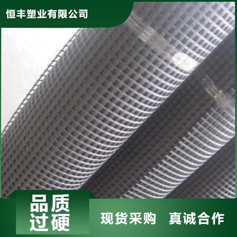 玻纖土工格柵-三維復(fù)合排水網(wǎng)當(dāng)?shù)貜S家值得信賴