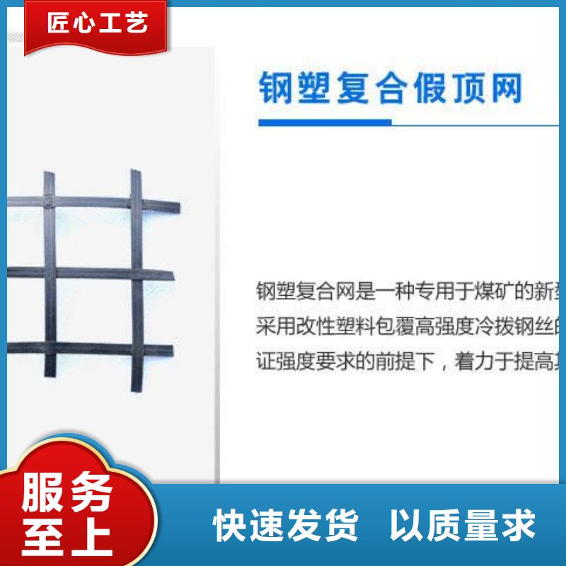 礦用鋼塑復(fù)合假頂網(wǎng)PP焊接土工格柵老品牌廠家
