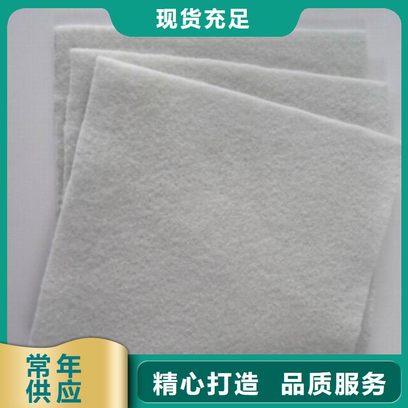 土工布HDPE土工膜現(xiàn)貨快速采購(gòu)