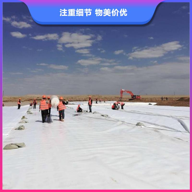 土工布防渗土工膜厂家大量现货