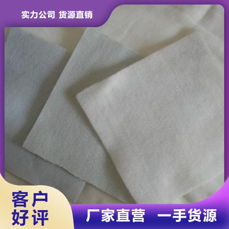 土工布防滲土工膜廠家大量現(xiàn)貨