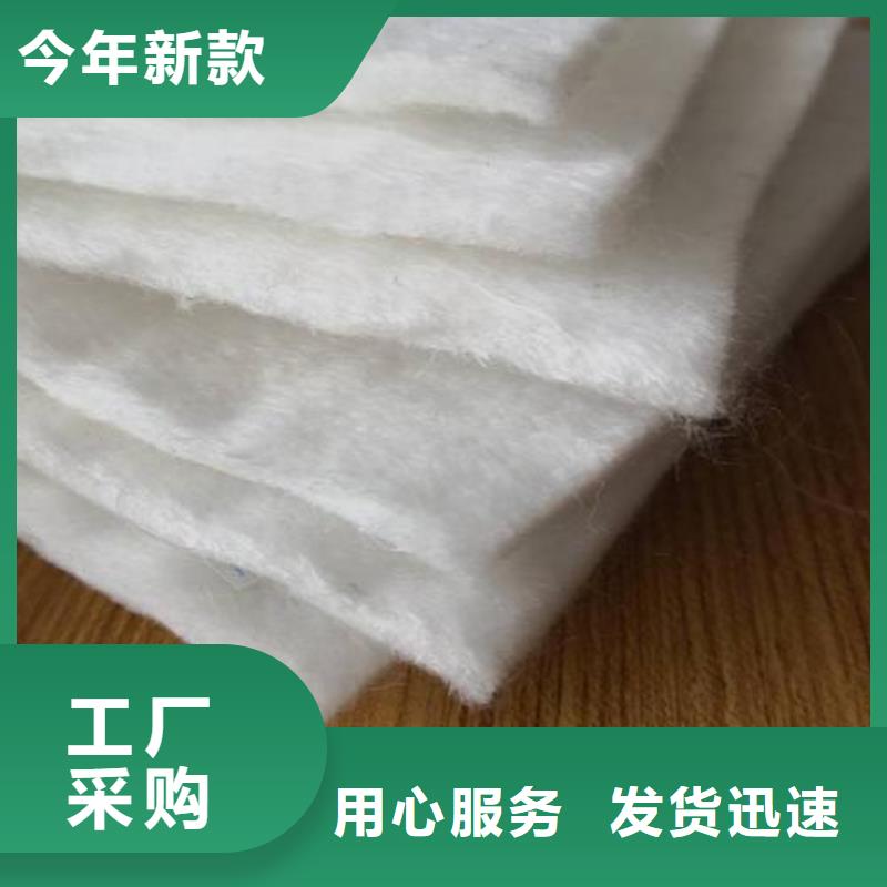 土工布-聚乙烯土工膜用途廣泛