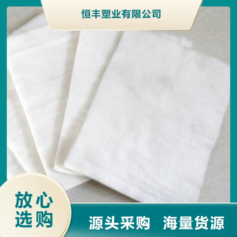土工布防滲土工膜廠家大量現(xiàn)貨