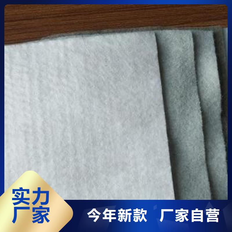 土工布防滲土工膜廠家大量現(xiàn)貨