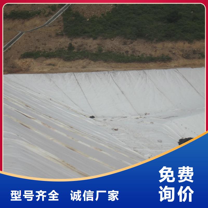 土工布-防滲土工膜價(jià)格地道