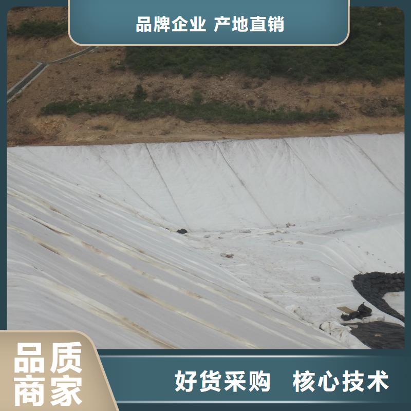 土工布防渗土工膜厂家大量现货
