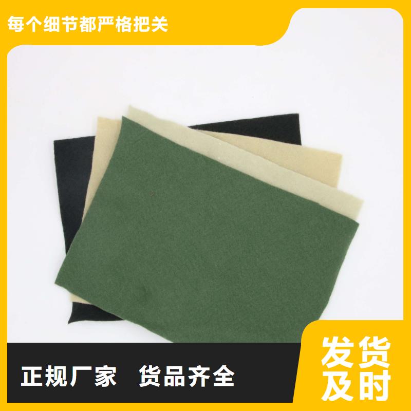土工布HDPE土工膜現(xiàn)貨快速采購(gòu)