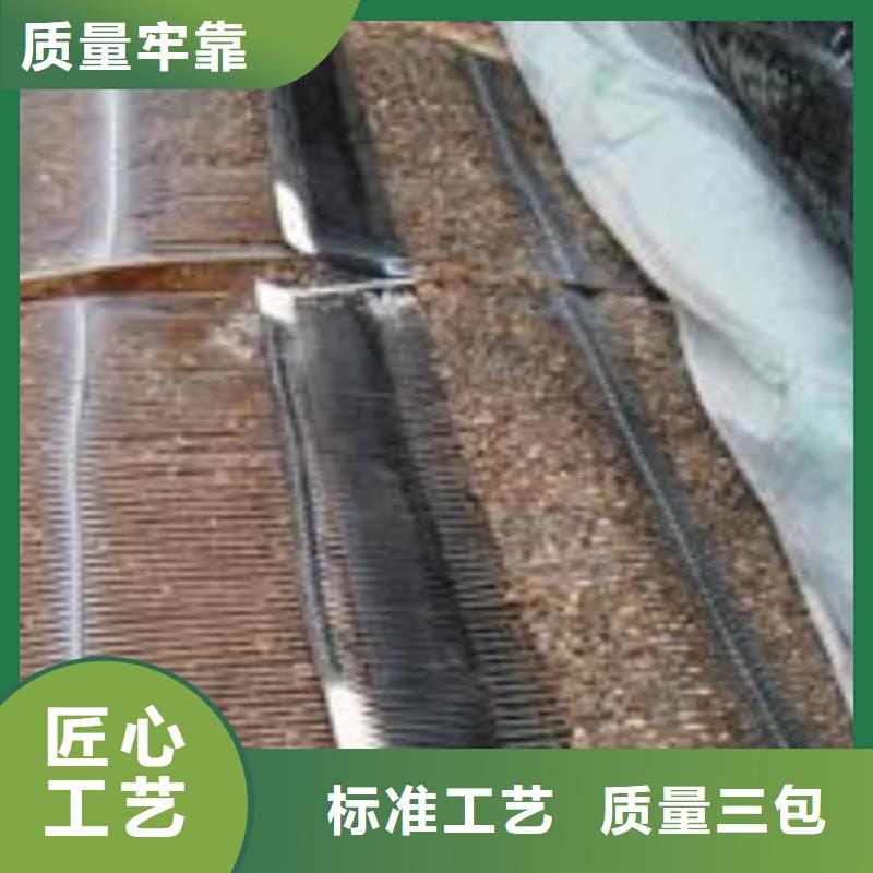 單向塑料土工格柵玻纖土工格柵追求品質(zhì)