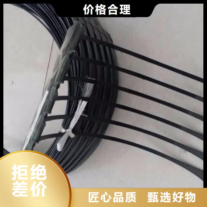 单向塑料土工格栅三维复合排水网实拍展现
