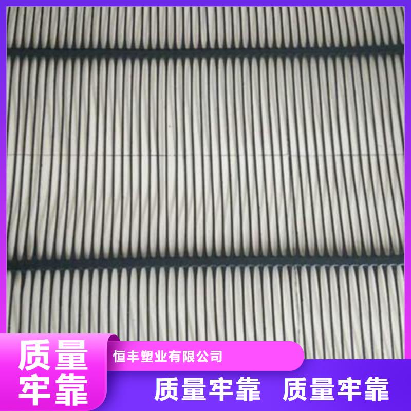 單向塑料土工格柵玻纖土工格柵追求品質(zhì)