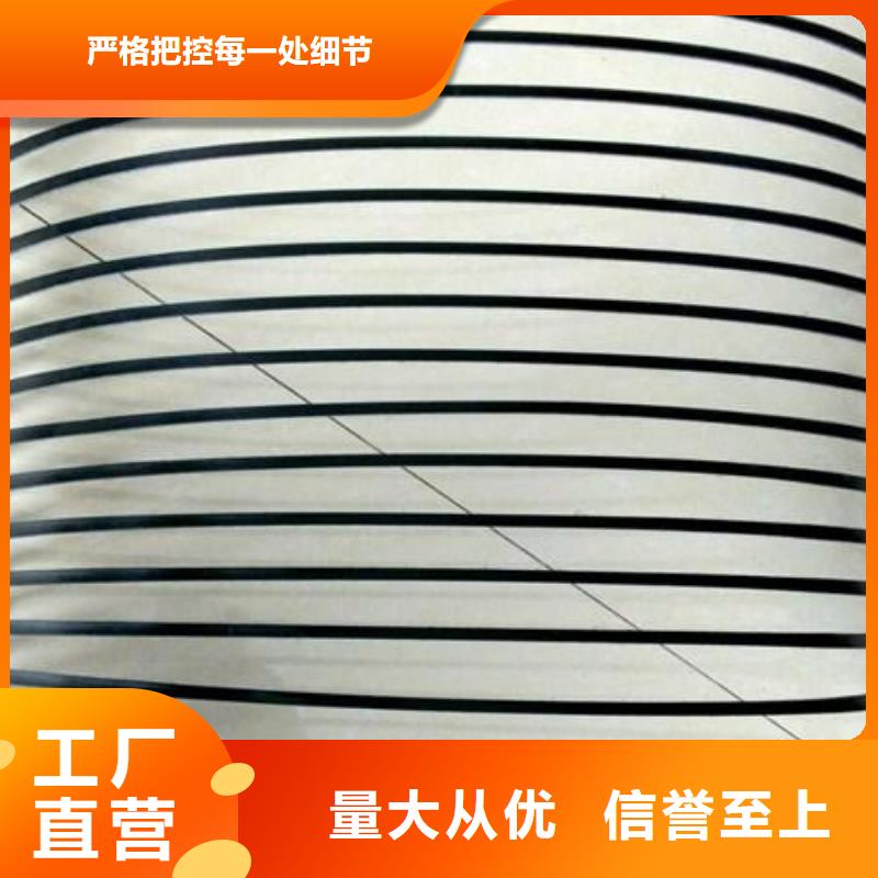單向塑料土工格柵-三維植被網(wǎng)發(fā)貨迅速