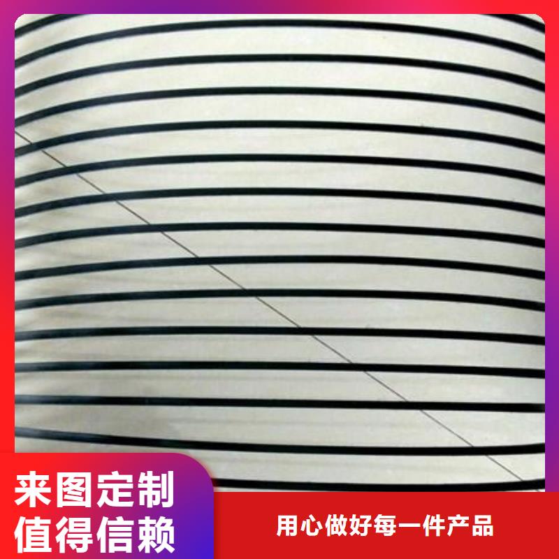 单向塑料土工格栅复合土工膜敢与同行比服务