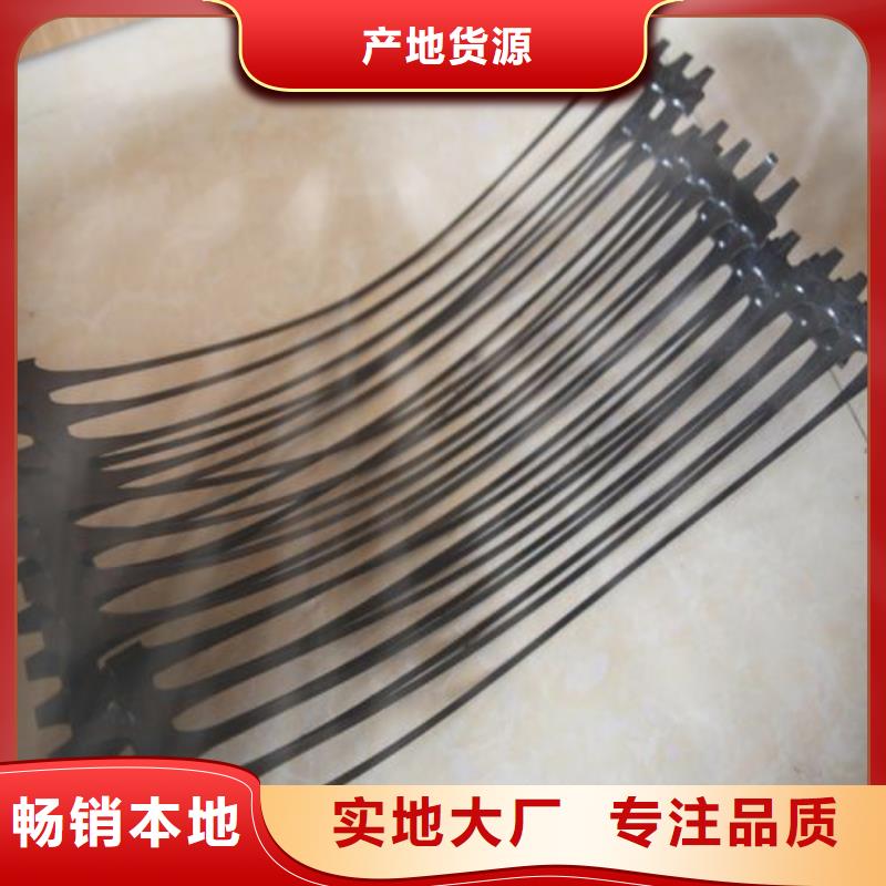 单向塑料土工格栅复合土工膜敢与同行比服务
