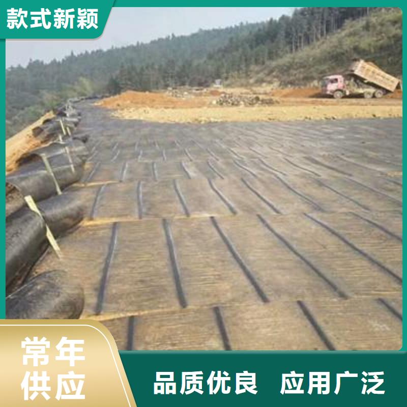 单向塑料土工格栅复合土工膜敢与同行比服务