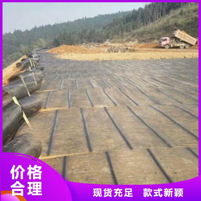 單向塑料土工格柵玻纖土工格柵追求品質(zhì)