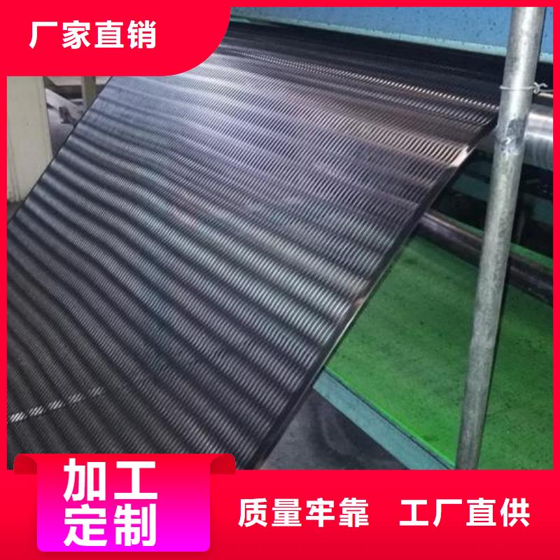 单向塑料土工格栅三维复合排水网实拍展现