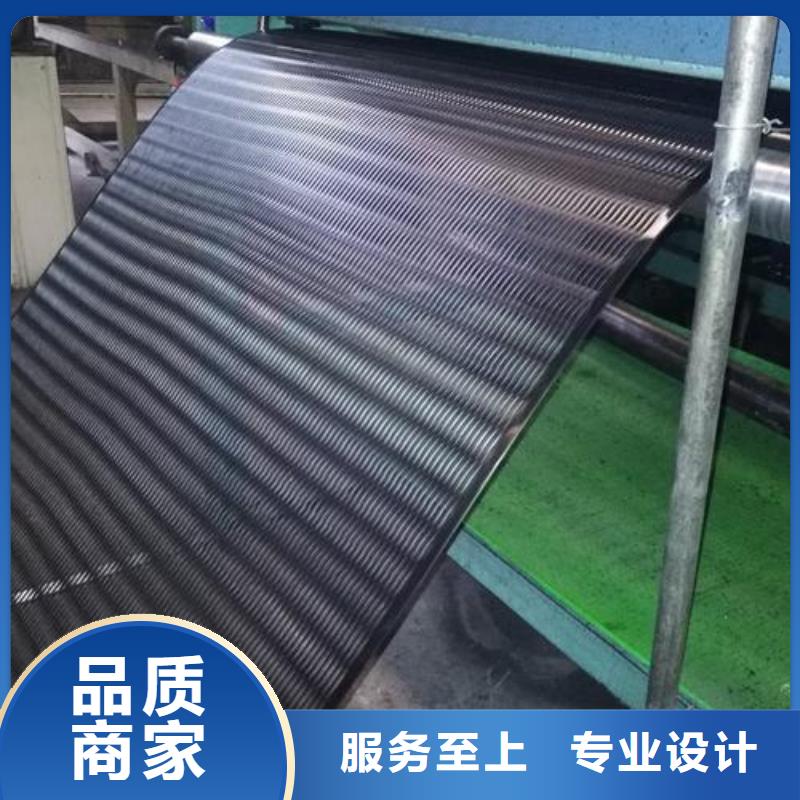 單向塑料土工格柵塑料盲溝產(chǎn)地直供