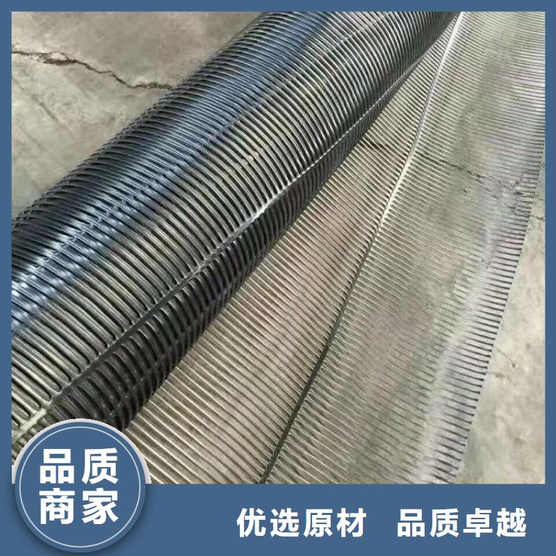 单向塑料土工格栅三维复合排水网实拍展现