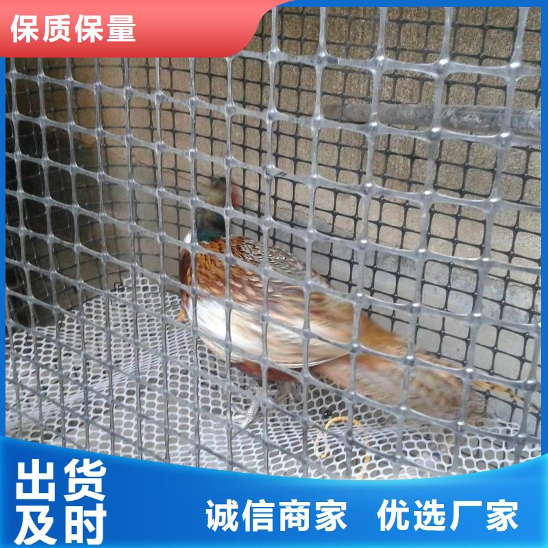 雙向塑料土工格柵無(wú)紡布精工制作