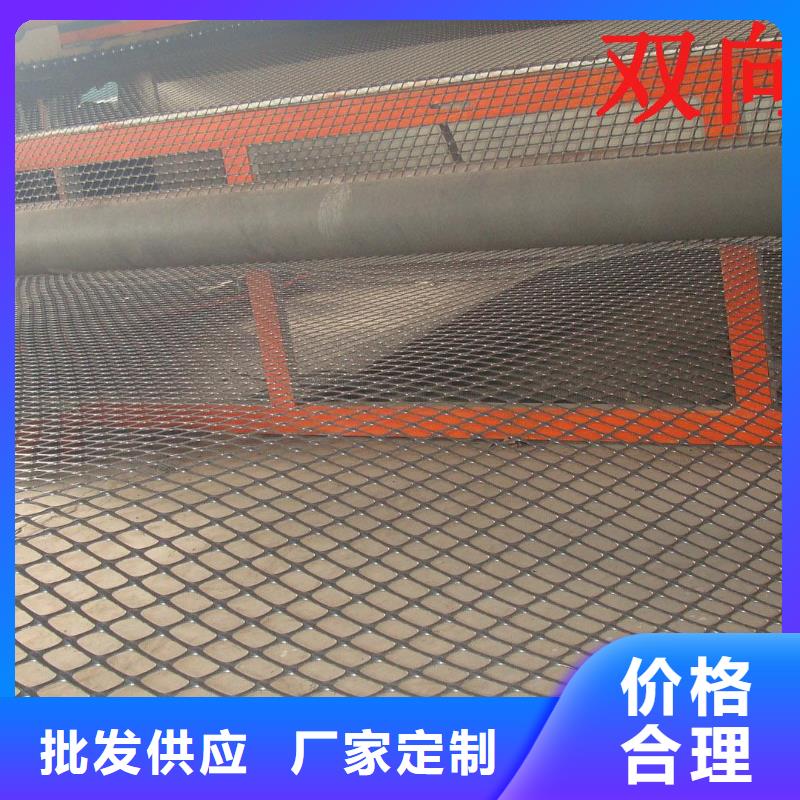 双向塑料土工格栅土工滤网实时报价