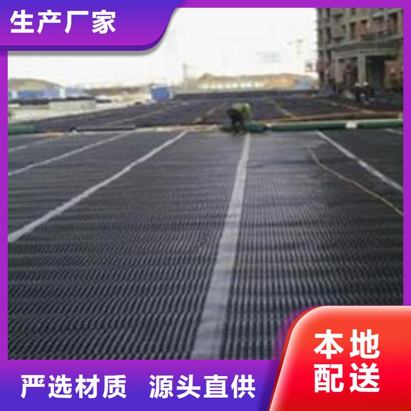 双向塑料土工格栅土工滤网实时报价