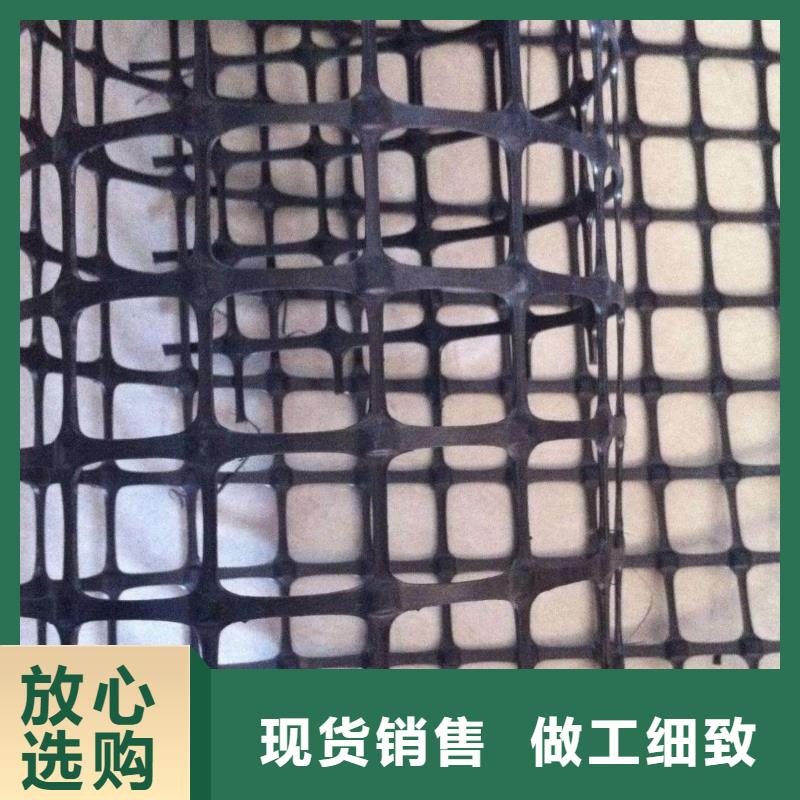 双向塑料土工格栅三维植被网准时交付