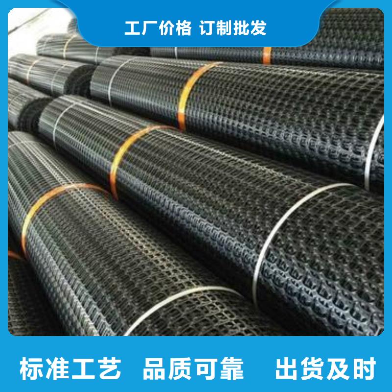 双向塑料土工格栅三维植被网准时交付