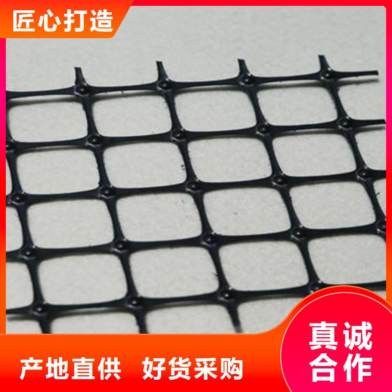 双向塑料土工格栅土工滤网实时报价
