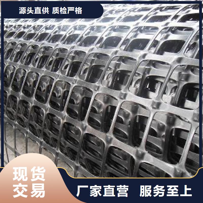 双向塑料土工格栅三维植被网准时交付