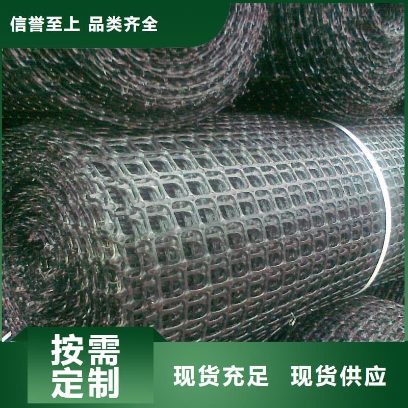 双向塑料土工格栅三维土工网垫货到付款