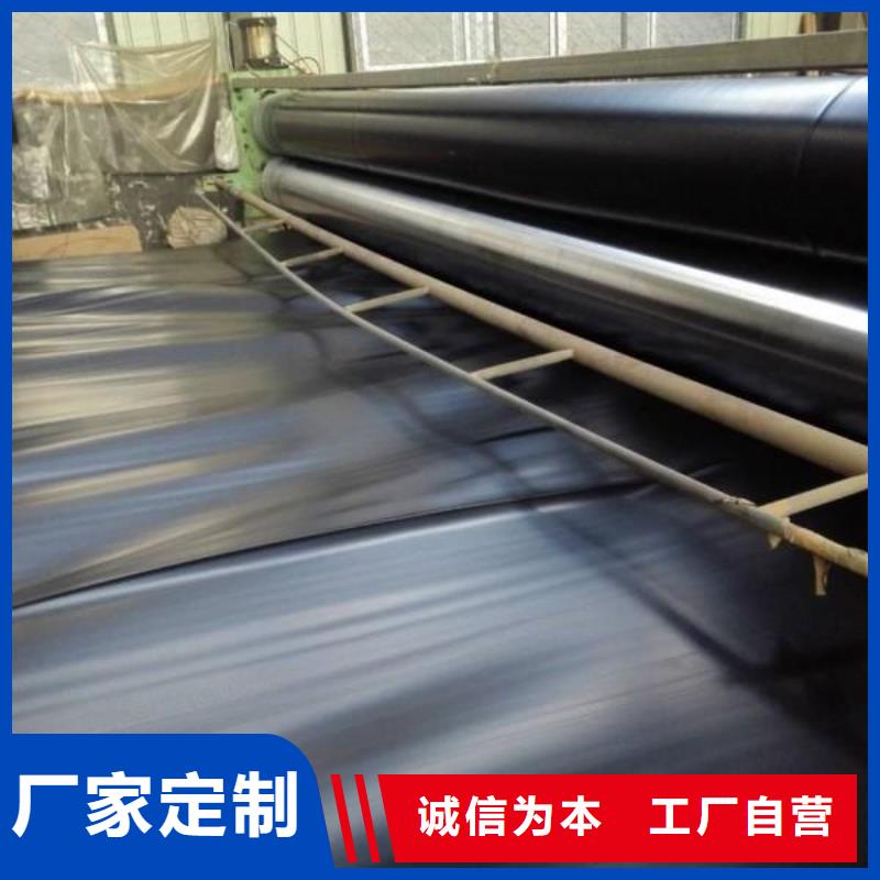 土工膜土工席墊源廠定制