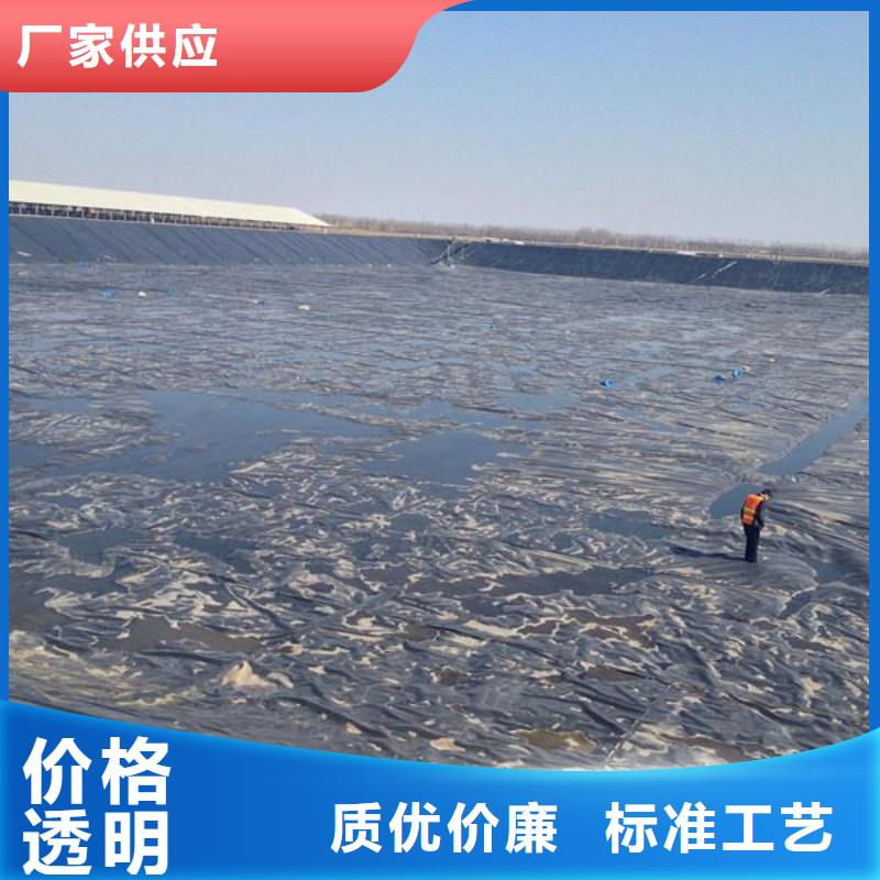 土工膜土工HDPE膜一站式厂家