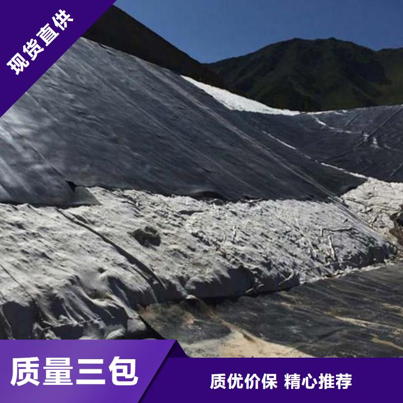土工膜土工HDPE膜一站式厂家
