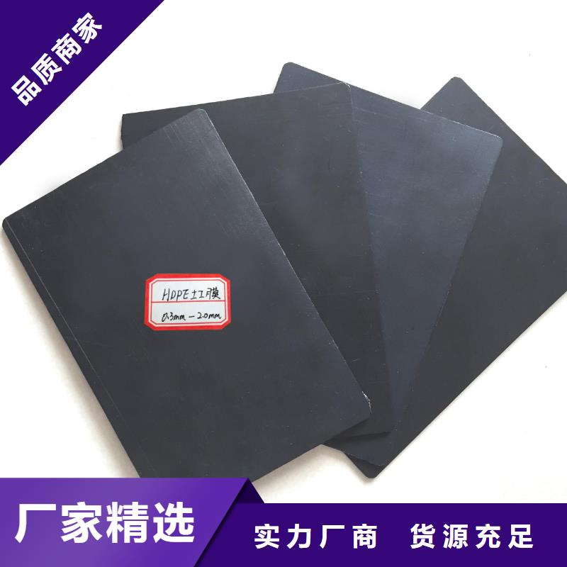 土工膜土工席墊源廠定制