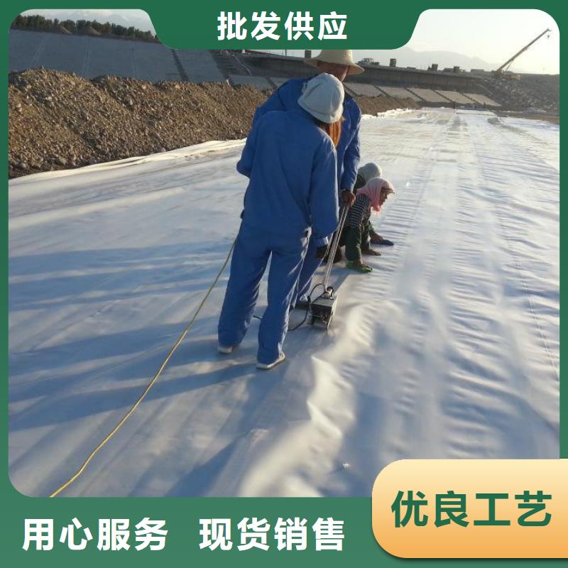 土工膜三維土工網(wǎng)墊0中間商差價(jià)