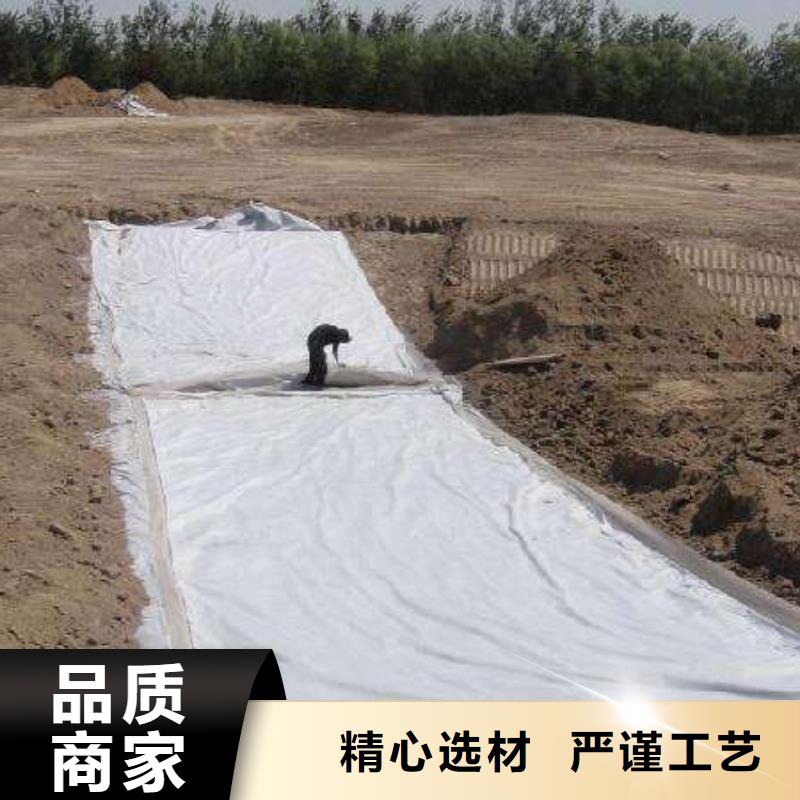 复合土工膜三维复合排水网免费寄样