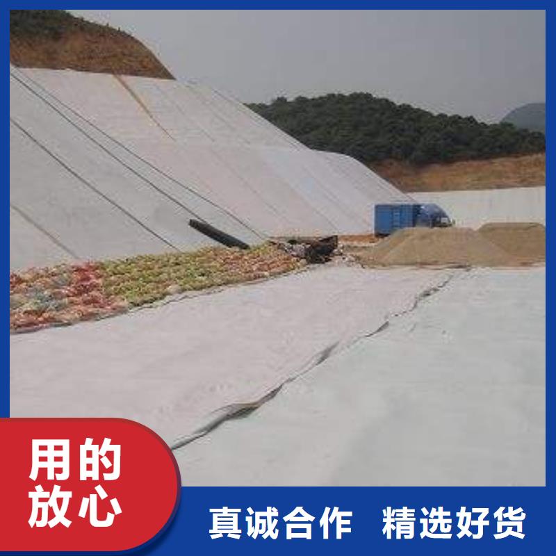 復(fù)合土工膜_毛細(xì)排水板貨真價(jià)實(shí)