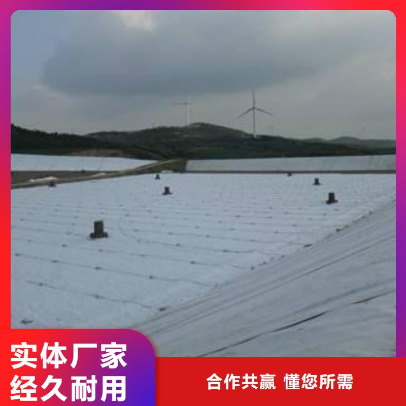 復(fù)合土工膜_毛細(xì)排水板貨真價(jià)實(shí)