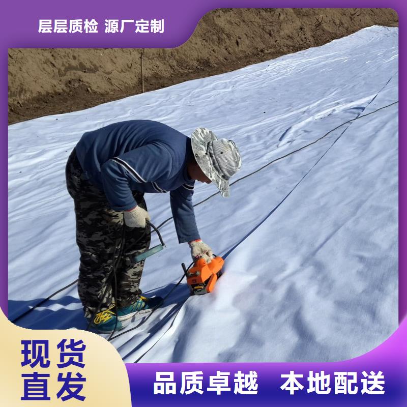 复合土工膜三维复合排水网追求品质