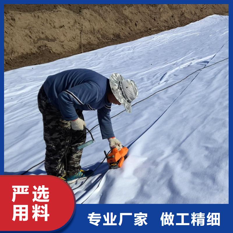 复合土工膜三维复合排水网免费寄样