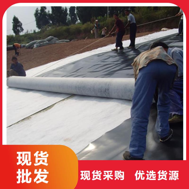 復(fù)合土工膜土工布廠家工藝先進(jìn)