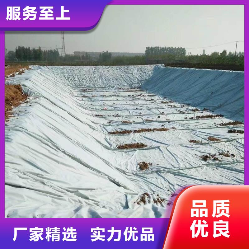 復(fù)合土工膜_毛細(xì)排水板貨真價實
