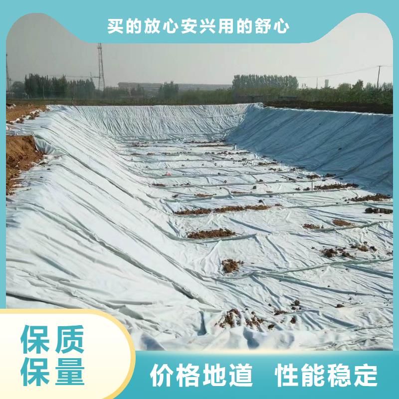 复合土工膜三维复合排水网免费寄样