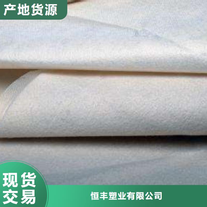 復(fù)合土工膜土工布廠家工藝先進(jìn)